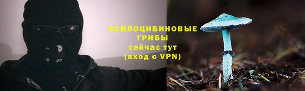 2c-b Переславль-Залесский